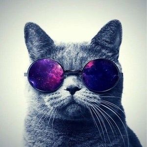 Meet your Posher, Miguel